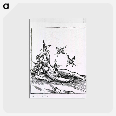 アートポストカード-Attack by Insects
 - 国立医学図書館 Postcard.