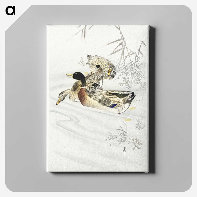 3-45_Ohara-Koson_canvas