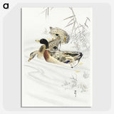 3-45_Ohara-Koson_picture-crop