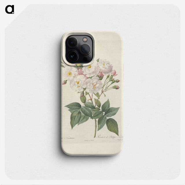 3-45_Pierre-Joseph-Redoute_phone