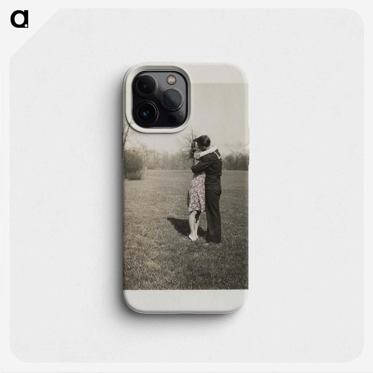 3-45_Saint-Louis-Art-Museum_phone