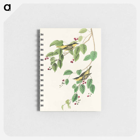 アートメモ帳-Carbonated Warbler from Birds of America
 - アメリカの鳥たち Memo.