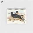 アートメモ帳-Small Frigate Bird
 - オーストラリアの鳥 Memo.