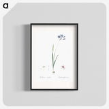 3-45_The-Lilies_blk