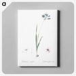 3-45_The-Lilies_canvas