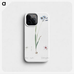3-45_The-Lilies_phone