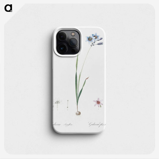 3-45_The-Lilies_phone