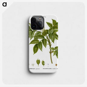 3-45_Treatise-on-Trees-and-Shrubs_phone