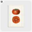 3-45_USDA-Watercolor-Fruit-Painting-Collection_postcard