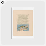 アートポストカード-Visions of the Daughters of Albion, Plate 6, "And none but Bromian . . . ." - ウィリアム ブレイク Postcard.
