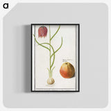 3-46_Anselmus-Boetius-de-Boodt_blk-crop