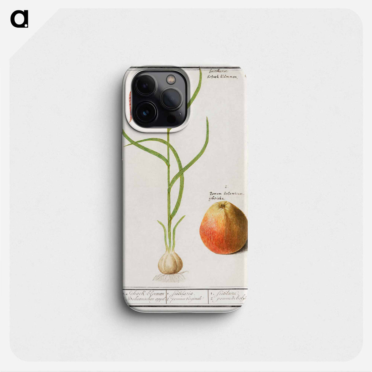 Snake's head fritillary, Fritillaria meleagris and an apple - アンセルムス ボエティウス デ ブート Phone Case.
