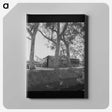 3-46_Dorothea-Lange_canvas