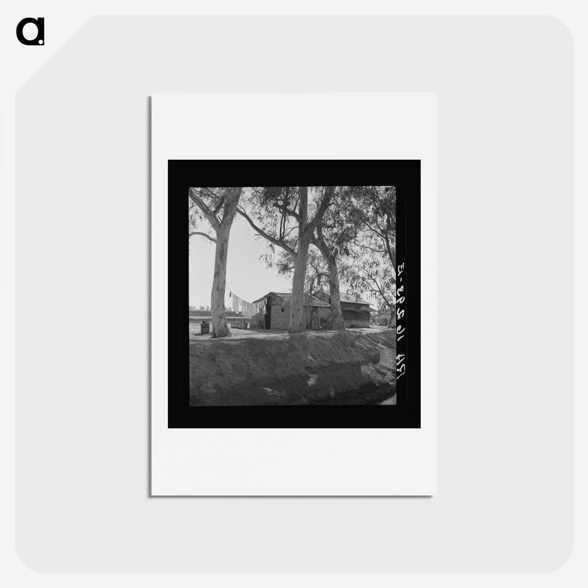 3-46_Dorothea-Lange_hagaki