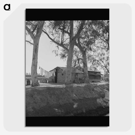3-46_Dorothea-Lange_picture-crop