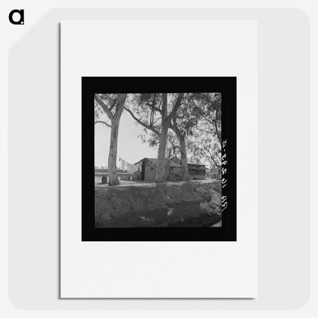 3-46_Dorothea-Lange_picture