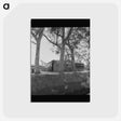 3-46_Dorothea-Lange_postcard