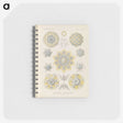 3-46_Ernst-Haeckel_memo