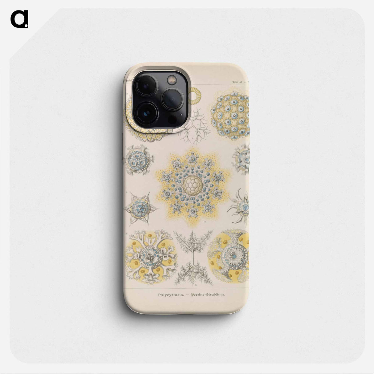Marine life illustration - エルンスト ヘッケル Phone Case.