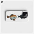 3-46_Ichtyologie-ou-Histoire-naturelle_phone