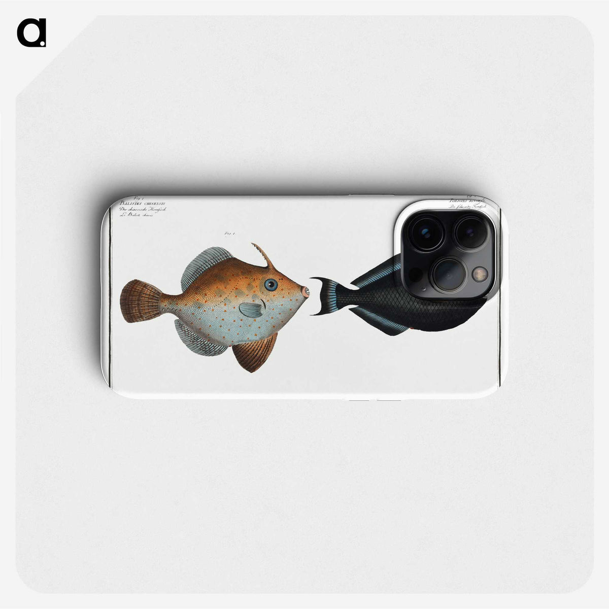 3-46_Ichtyologie-ou-Histoire-naturelle_phone