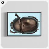 3-46_Insects-Unlocked-Project_blk-crop