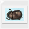 3-46_Insects-Unlocked-Project_picture