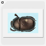 3-46_Insects-Unlocked-Project_picture
