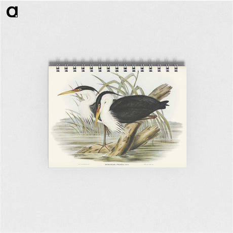 3-46_John-Gould_memo