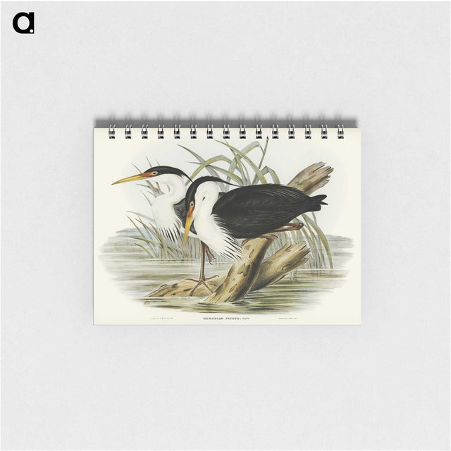 3-46_John-Gould_memo