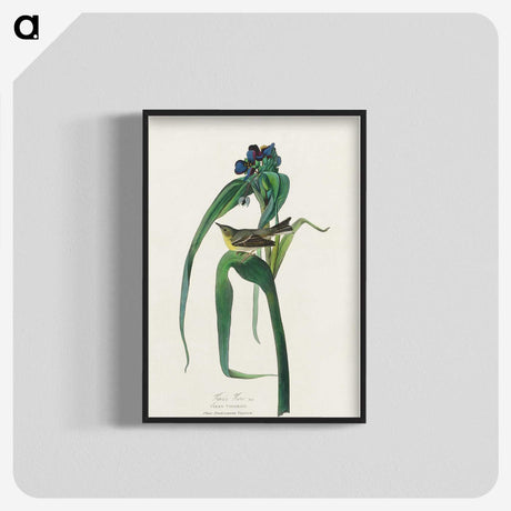 3-46_John-James-Audubon_blk-crop