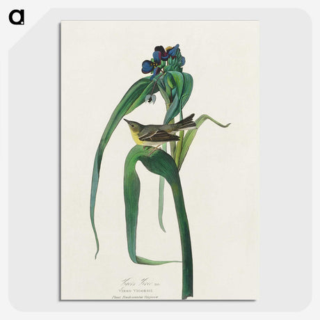 3-46_John-James-Audubon_picture-crop