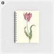 アートメモ帳-Tulipa Gesneriana
 - マリア ジビーラ メーリアン Memo.