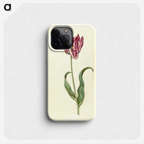 3-46_Maria-Sibylla-Merian_phone