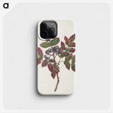 3-46_Mary-Vaux-Walcott_phone