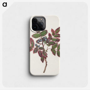 3-46_Mary-Vaux-Walcott_phone