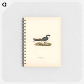 アートメモ帳-Hirundo Urbica
 - スヴェンスカ フォグラル Memo.