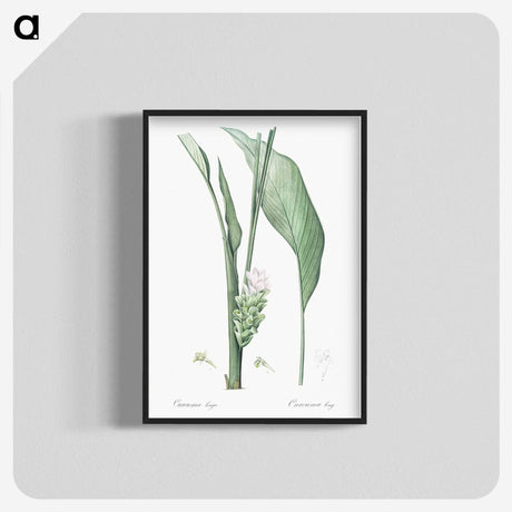 3-46_The-Lilies_blk-crop