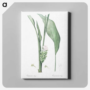 3-46_The-Lilies_canvas