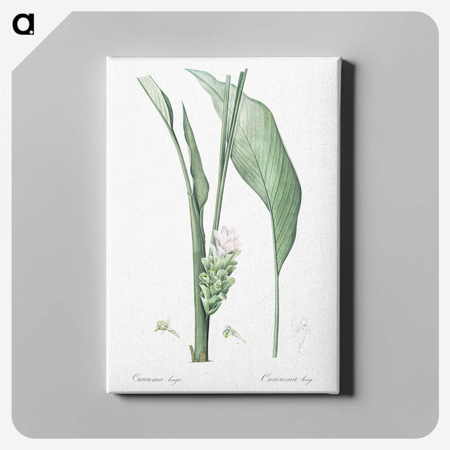 3-46_The-Lilies_canvas