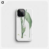 3-46_The-Lilies_phone