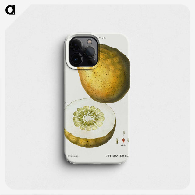 3-46_Treatise-on-Trees-and-Shrubs_phone