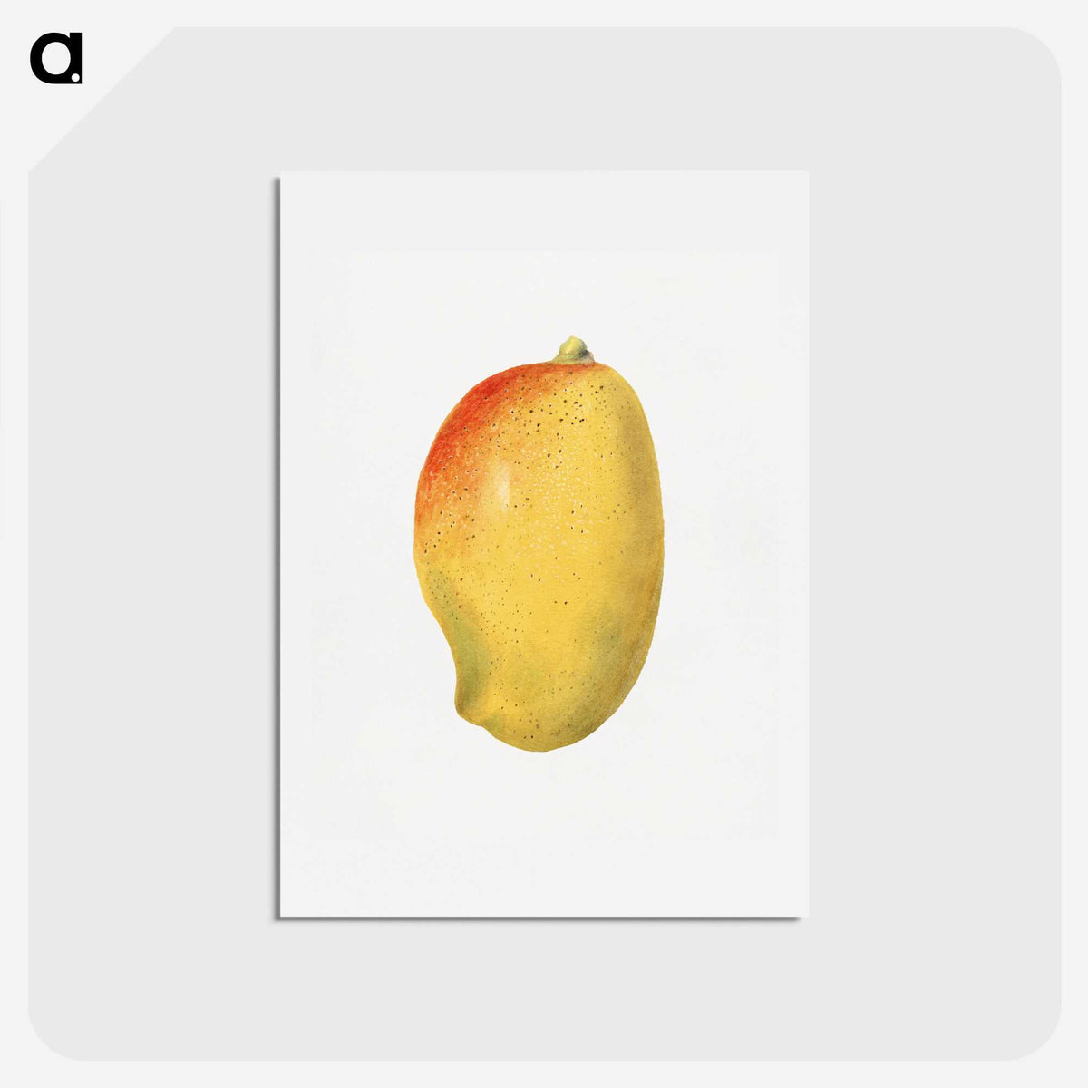 3-46_USDA-Watercolor-Fruit-Painting-Collection_hagaki