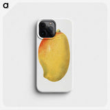 3-46_USDA-Watercolor-Fruit-Painting-Collection_phone