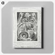3-46_William-Blake_canvas