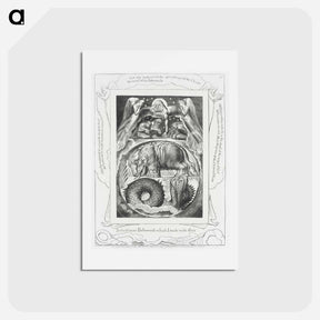 アートポストカード-Behemoth and Leviathan - ウィリアム ブレイク Postcard.