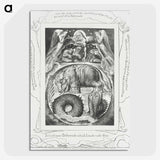 3-46_William-Blake_picture-crop