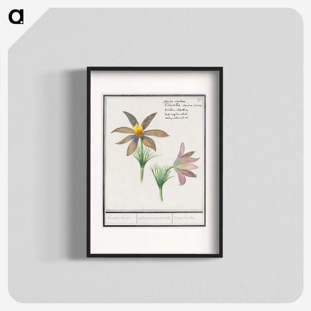 3-47_Anselmus-Boetius-de-Boodt_blk