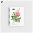 アートメモ帳-Plantae et papiliones rariores: No. 9–Daffodil, Cat's Claw, and Bur Buttercup
 - クリーブランド美術館 Memo.
