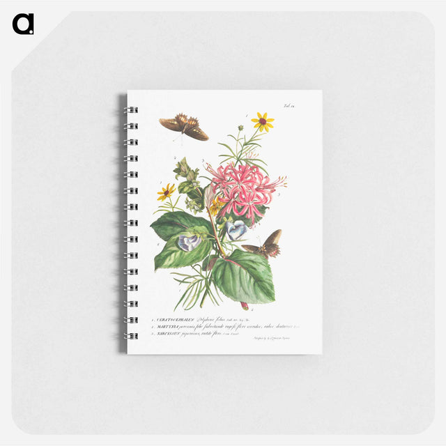 アートメモ帳-Plantae et papiliones rariores: No. 9–Daffodil, Cat's Claw, and Bur Buttercup
 - クリーブランド美術館 Memo.